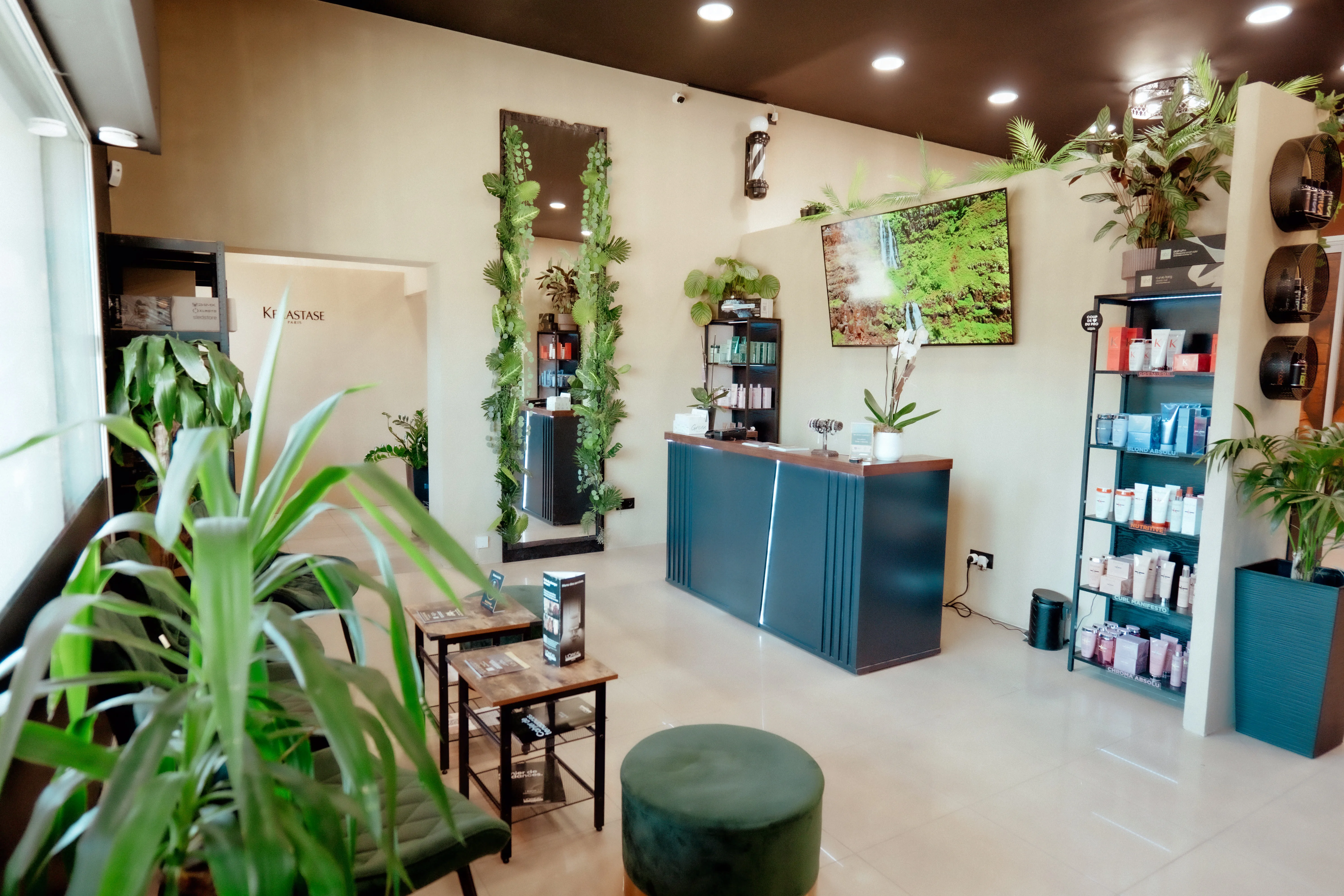 HAIR SHOP - HAIR SPA